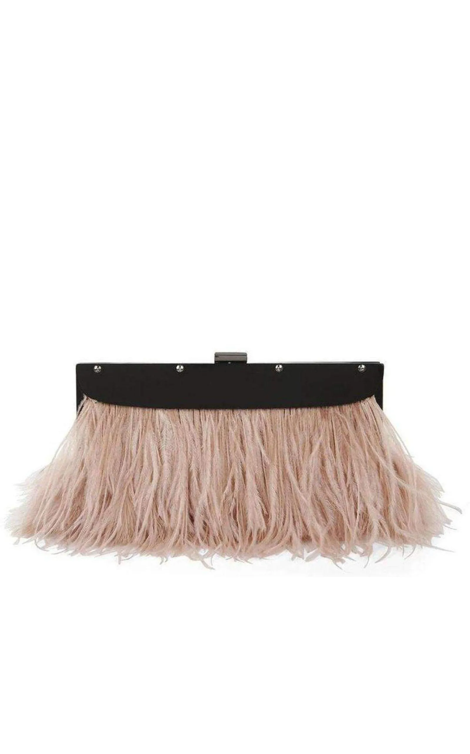 Portia Feather-Trim Lucite Clutch