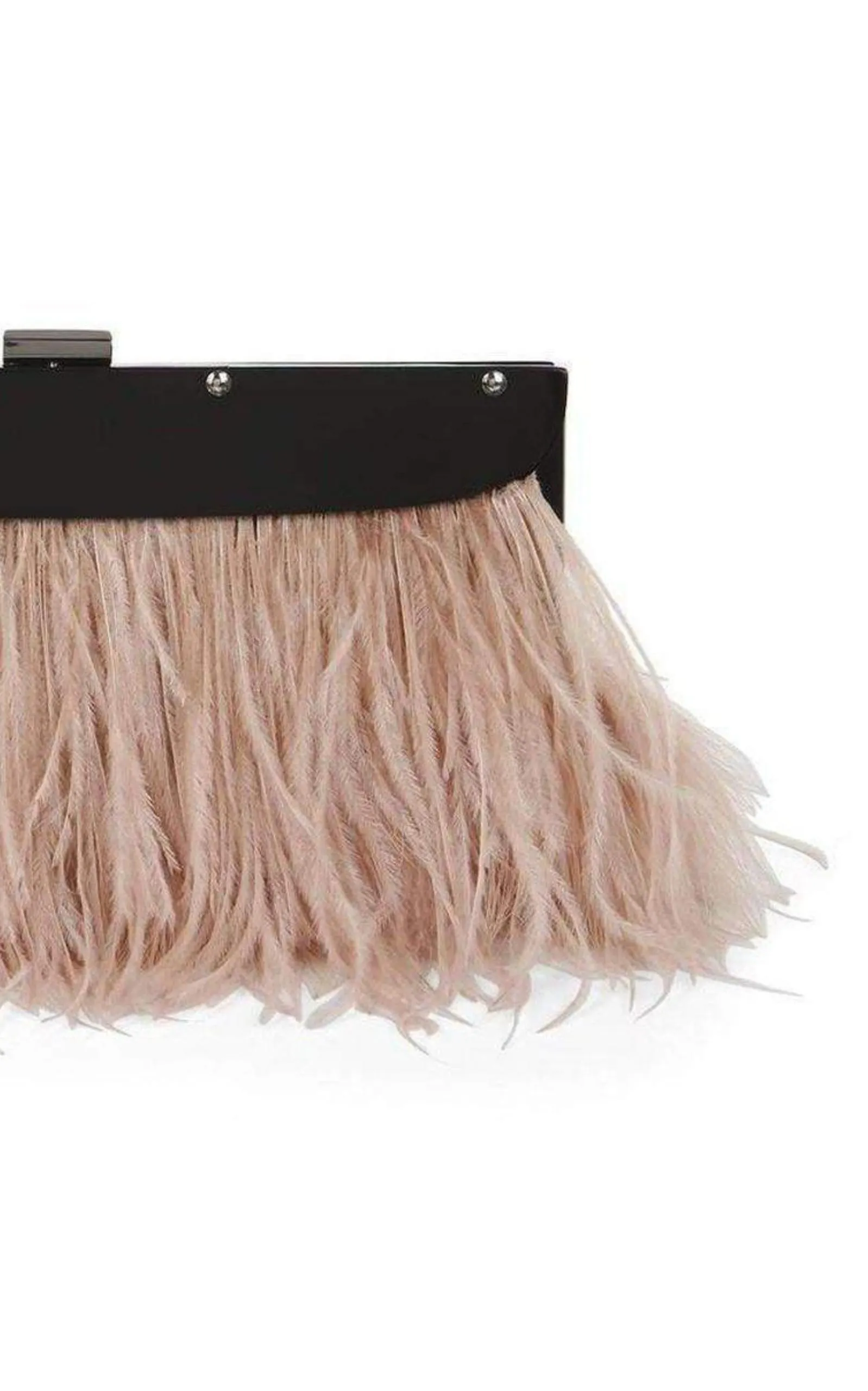 Portia Feather-Trim Lucite Clutch