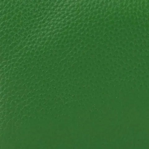 Ruby leather clutch crossbody bag